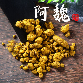 臭阿魏500克新疆阿魏阿魏钓鱼专用阿魏钓鱼小药