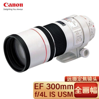 沸騰ブラドン EF Canon 極美品☆キヤノン 300mm 元箱 IS F4L レンズ(単