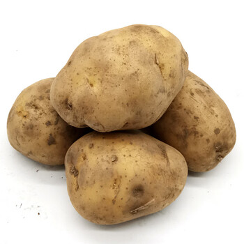 东北土豆5斤新鲜蔬菜应季青菜黄心土豆农家自种马铃薯洋芋大土豆5斤2