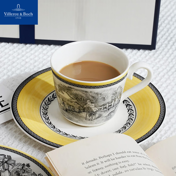 唯宝（Villeroy Boch）奥顿咖啡杯碟套装陶瓷杯礼盒情侣杯水杯下午茶杯生日礼物商务送礼