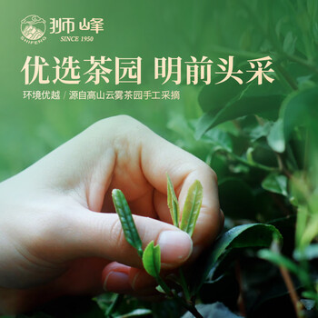 狮峰牌2026年新茶上市绿茶龙井茶叶春茶明前特级头采250g四星纸包装