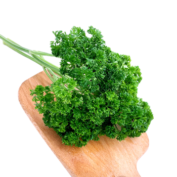 味小仙 荷兰芹 新鲜蔬菜法国香菜洋芫荽西餐摆盘装饰 500g
