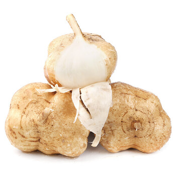 nanguoxiansheng新鲜现挖凉薯白地瓜沙葛地萝卜新鲜蔬菜凉薯5斤