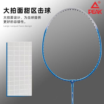 PEAK匹克初级羽毛球拍 双拍  YY41441