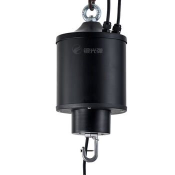 球馆商场灯笼工矿灯吊灯电动滑轮遥控灯具 黑色单钢丝5kg升降高度15米