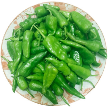 鞠昵鲜超辣赣辣露天土椒新鲜广东农家丰收季节薄皮特辣皱皮青辣椒 1斤