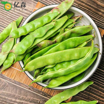 东北特产一点红油豆角新鲜蔬菜现摘面豆角大油豆
