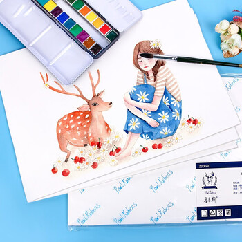 鲁本斯（PaulRubens）星空水彩纸加厚8K细纹300g棉浆纸素描纸学生初学美术绘画纸10张/包0111085