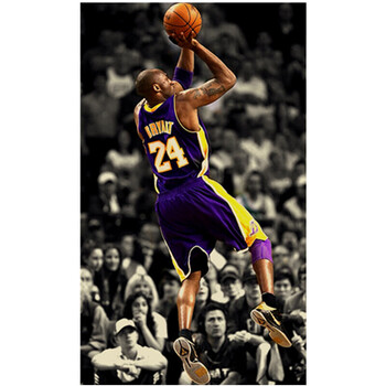 浅灰色 t109标志投篮【随机7张】 51*35