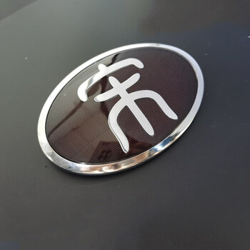 鼎瑾适用于比亚迪元车标元ev宋maxpro秦ev前中网标新能源汽车标志宋