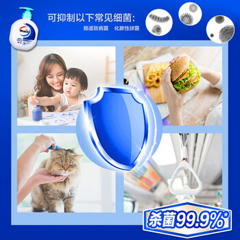 威露士健康抑菌洗手液525ml大瓶杀菌99.9% 清香保湿洗护手 泡沫丰富易冲