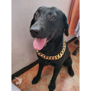 波奇多超大狗狗宠物项圈项链拉布拉多犬金毛塑料大金链子配饰  50cm