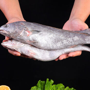 新鲜米鱼冷冻鳘鱼敏鱼海鱼活冻海鲜鮸鱼 1斤以上/只 三斤装