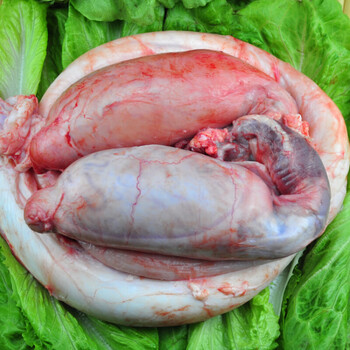 棠鲜生新鲜牛鞭整套3斤牛鞭牛宝生牛鞭熟食牛蛋110斤黄牛肉牛鞭1条2个