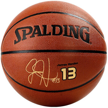 斯伯丁spalding斯伯丁nba球星签名款篮球