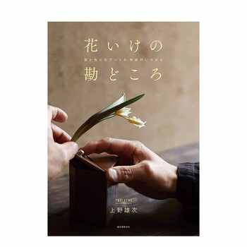 Wh 上野雄次插花作品与器皿搭配鉴赏花いけの勘どころ 器と色と光でつくる 季節のいけばな日文善本图书 摘要书评试读 京东图书