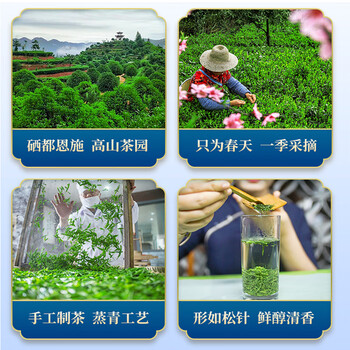 蓝焙2026年新茶预售 绿茶恩施玉露蒸青工艺谷雨新茶 办公茶 罐装200g