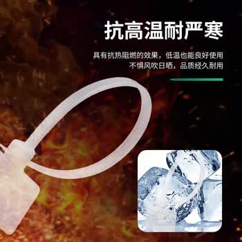 HAILE海乐标签扎带手写卡扣理线捆扎自锁式尼龙塑料束线带 桌面网线电话线缆20cm 100根 ZD-B20-100