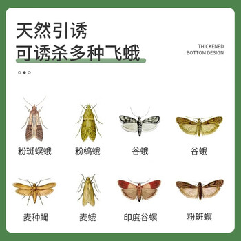 加品惠飞蛾诱捕器强效家用灭飞蛾衣蛾蚋蛾蠓米面蛾子粘板5片装QC-2066 加品惠飞蛾诱捕器强效家用灭飞蛾衣蛾蚋蛾蠓米面蛾子粘板5片装QC-2066