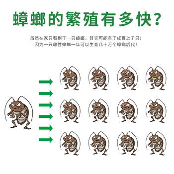 郁康黑金升级款蟑螂药12枚*2盒全窝端连环诱杀一窝端