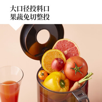 限时优惠！购买惠人H201原汁机怎么样，真降价还是有猫腻？