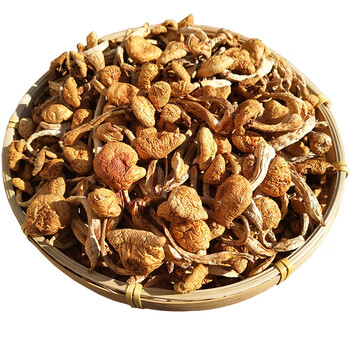 东北滑子蘑干货头茬新货大兴安岭农家特产小鸡炖小黄蘑菇嫩滑500g500g