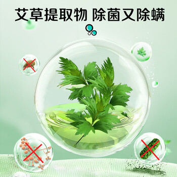 超能 活氧泡洗粉/爆炸盐 天然艾草香 1斤 瓶装 去污增艳 净白护衣