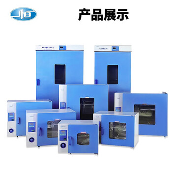 一恒 电热鼓风干燥箱工业烘箱恒温箱烘焙融蜡干燥箱器高温老化试验箱 DHG-9070A 不锈钢内胆