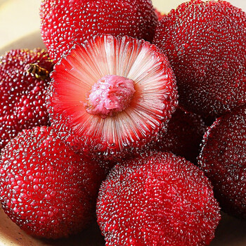 达林果蔬 新鲜杨梅当季现摘大果酸甜可口杨梅孕妇水果原果原味 4斤