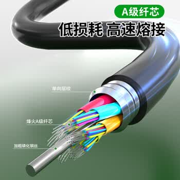衡普GYTA室外光缆电信级国标光缆 24芯层绞式单模铠装户外光纤线 1米 HP-GYTA-24B1.3