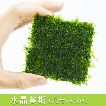 水族箱鱼缸三角火焰松茸珊瑚翡翠散装莫丝莫斯树沉木水草造景装饰水晶莫斯7 7cm 图片价格品牌报价 京东