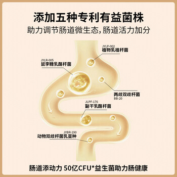 怡品纯益生菌猴头菇铁棍山药粉养胃粉代餐养胃食品护胃营养品500g*4罐装