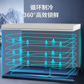 志高（CHIGO）单温冷柜 272升家用商用小型冰柜 微霜一级能效冷藏冷冻转换卧式冷冻柜   BD/BC-272DW