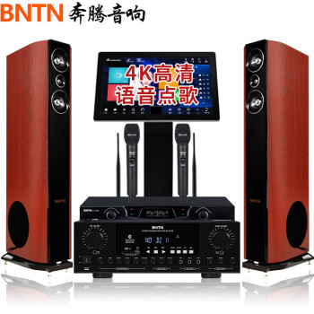 奔腾（BNTN）家庭影院专业会议KTV音响全套套装卡拉OK语音触屏点歌机8200功放配加州新贵音箱U段话筒套装