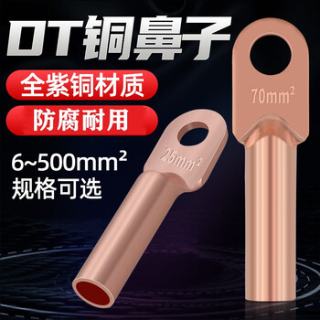 安达通 DT铜鼻端子 紫铜接线端子电缆铜线酸洗堵油耳接线鼻子 16平方20个