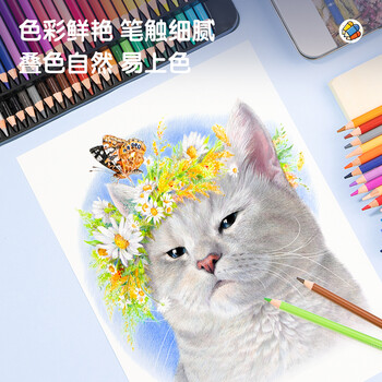 得力(deli)彩铅48色油性彩色铅笔高显色美术设计专业手绘彩笔专用绘画笔彩铅填色精品铁盒套装毕业