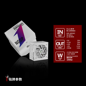 首席玩家（1st player）NGDP铂金 1000W ATX3.1电源（ATX3.0&3.1双规范/MES ID/压纹线/FDB风扇/支持5090/白色）