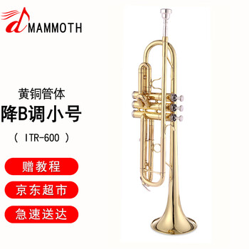 铜管乐器价格报价行情- 京东