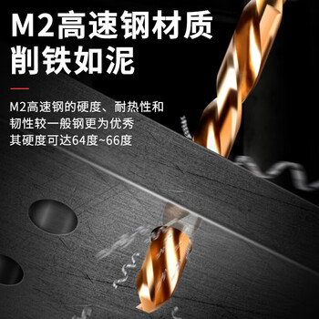 德力西电气（DELIXI ELECTRIC）高硬度麻花钻头不锈钢合金钢铁高速钢打孔DLX-042T【25件套】
