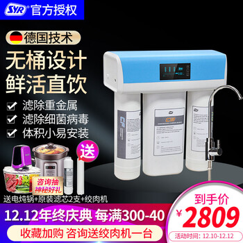 汉斯希尔 Syr Ro反渗透净水器家用厨下无桶400g智能家用直饮纯水机400加仑纯水机 图片价格品牌报价 京东