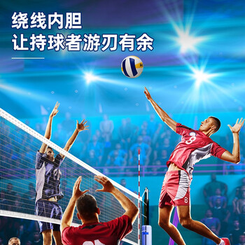 安格耐特（Agnite）得力学生中考训练排球青少年 5号PVC教学考试校园排球