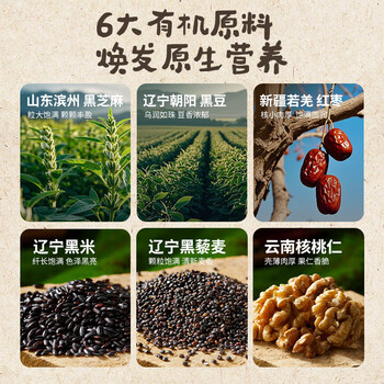 燕之坊100%有机核桃芝麻黑豆粉500g黑芝麻糊无糖无添加营养早餐代餐粉