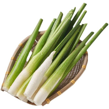 青樱红荔湖北新鲜茭白菰笋茭笋茭儿菜农家蔬菜食用沙拉3斤