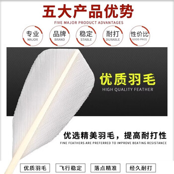 鑫德睿羽毛球耐打王不易打烂专业鹅毛球室外比赛训练防风羽毛球 12只装