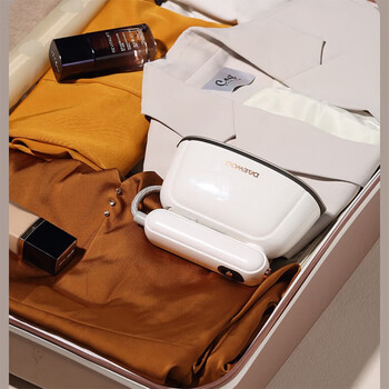 大宇（DAEWOO） 手持挂烫机 精熨模式 干熨汽熨两用 小巧便携式熨烫机烫衣机除皱不伤衣 DYGT-1308