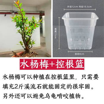 藍釉開片八方鉢 盆栽 多肉菖蒲盆栽 植木鉢 景德镇 装饰品 工艺品 置物 八九十年代蓝釉四方高筒花盆四方形千筒陶瓷