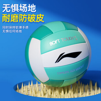 李宁（LI-NING）排球【中考训练】比赛专用中小学体考成人儿童男女硬排软排球5号 