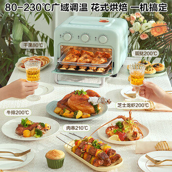 苏泊尔家用多功能空气炸锅电烤箱一体空气循环免翻面12L 小型烘焙可视玻璃门清新绿OJ12AK810