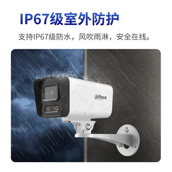 dahua大华4G流量版摄像机200万双光夜视监控声光警戒对讲 不支持WIFI流量需充值 DH-P20A1-4G-ST 3.6mm