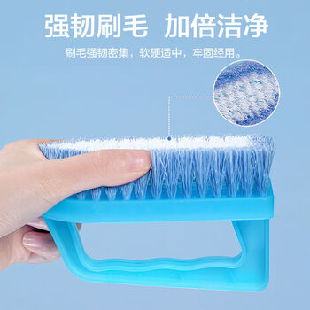 茶花刷子 连体鞋刷 洗衣刷 1只装随机颜色